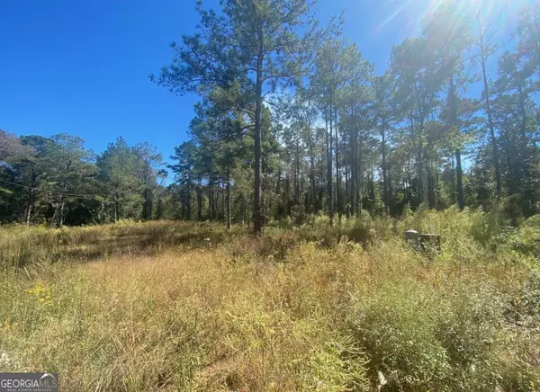 Fort Valley, GA 31030,836 Rowland RD