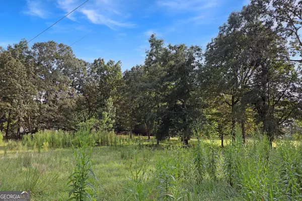 Whitesburg, GA 30185,0 Mt Zion Church RD