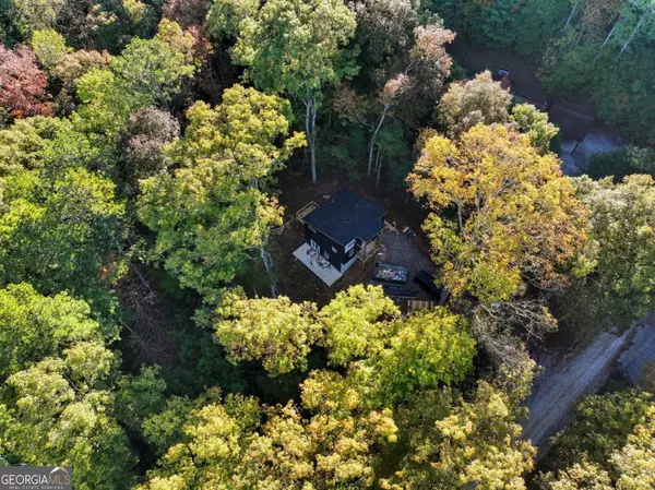 Ellijay, GA 30540,890 Joliet DR #353