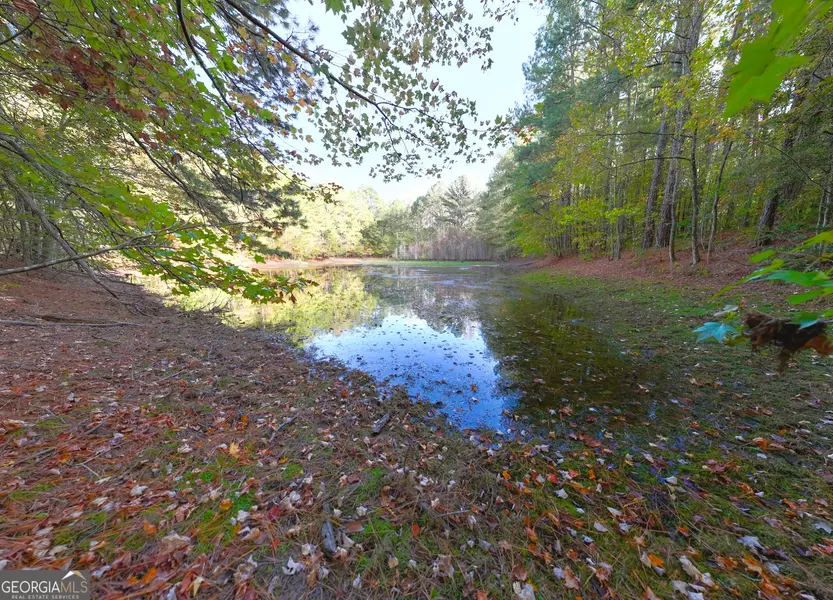 21.6 ACRES Wadley ST ##3, Greenville, GA 30222