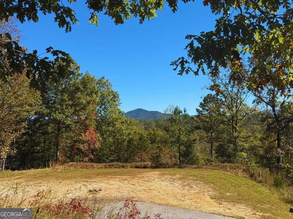Warne, NC 28909,LOT 1 Brasstown Trails