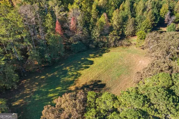 Taylorsville, GA 30178,0 Satcher RD