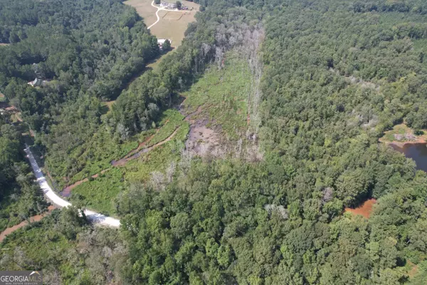 Griffin, GA 30224,TRACT D Hunter RD
