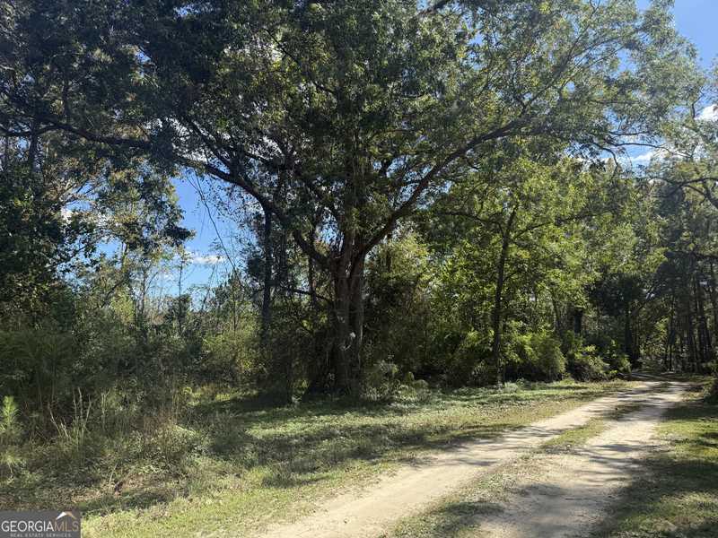 0 Old Leefield RD, Brooklet, GA 30415
