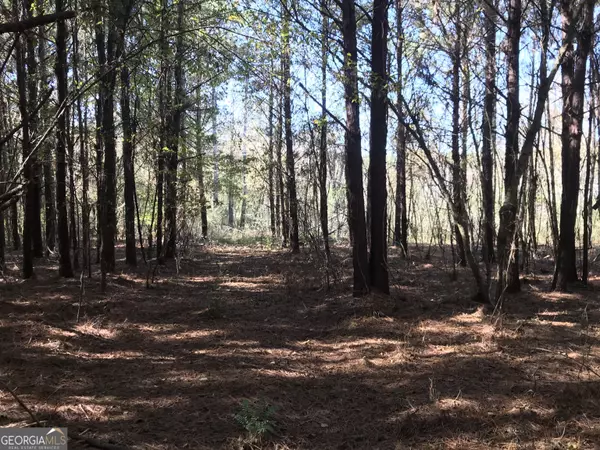 Calhoun, GA 30703,0 Hall Memorial RD #9595