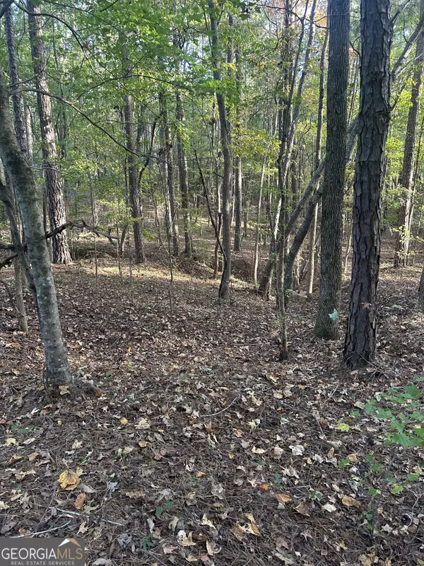 Elberton, GA 30635,0 Athens Highway