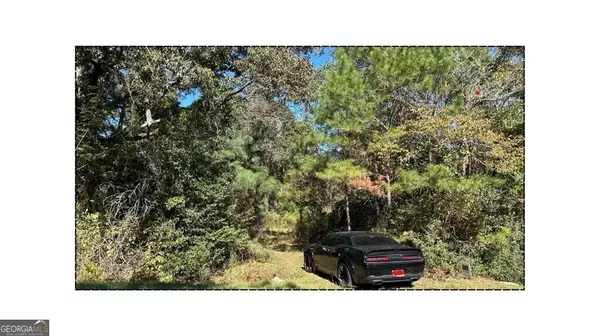 Statesboro, GA 30458,2581 Old Riggs Mill RD