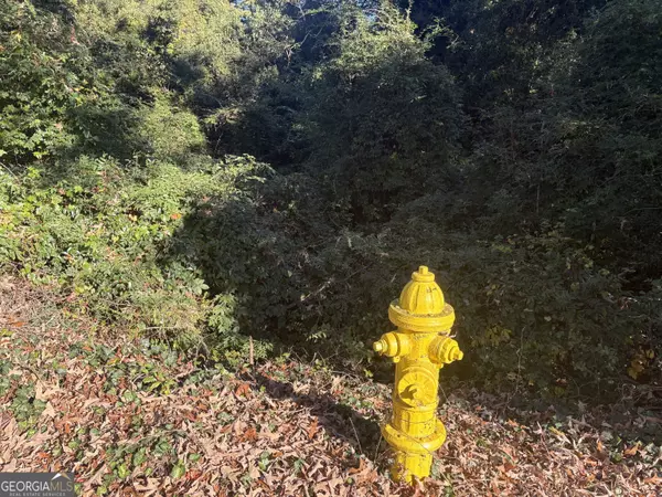 Griffin, GA 30223,829 E McIntosh RD