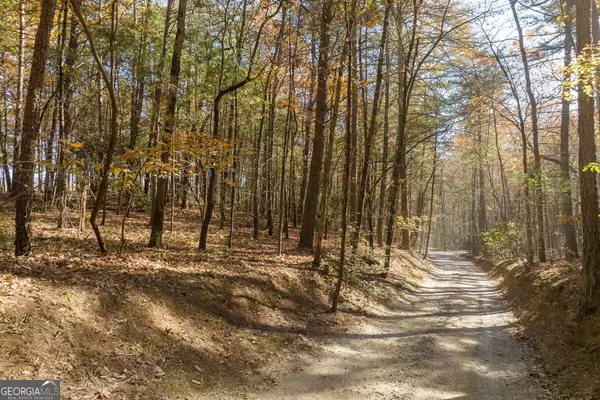 Ellijay, GA 30536,TR 2 Old Anderson CRK