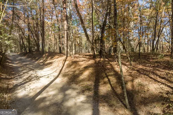 Ellijay, GA 30536,TR 2 Old Anderson CRK