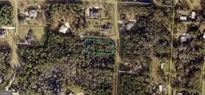 Woodbine, GA 31569,LOT 110 Marina Isle DR