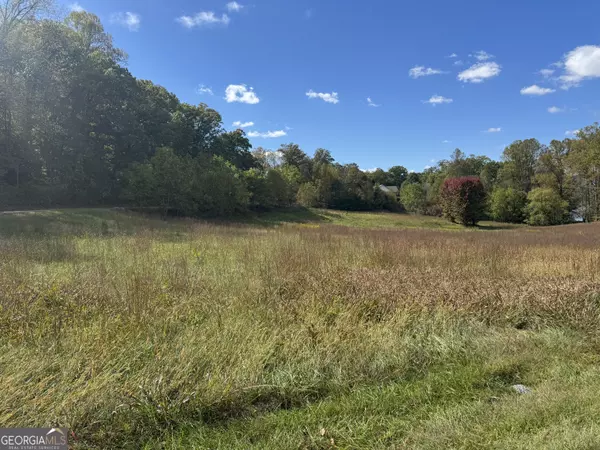 Hiawassee, GA 30546,1402 Holly Point DR