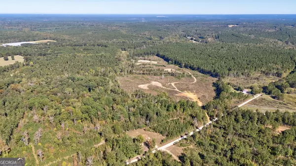 Carlton, GA 30627,0 Bridges RD