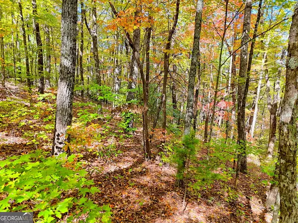 Tiger, GA 30576,0 Charmont DR #LOT 4