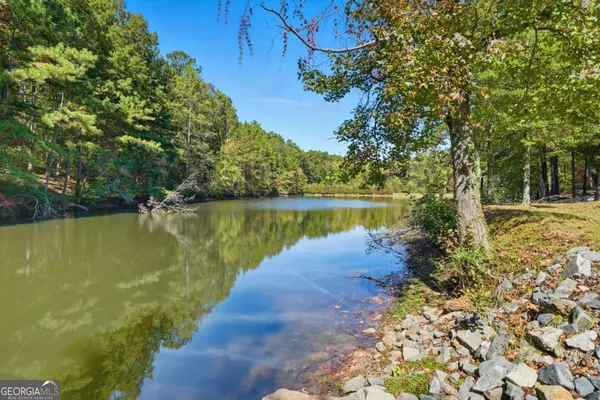 Ellijay, GA 30536,201 Talona Lake TER