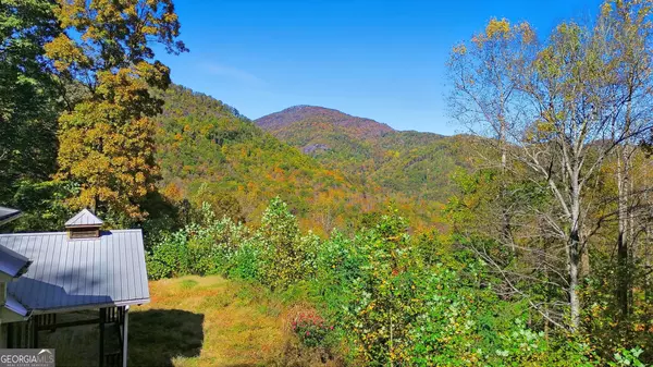 Rabun Gap, GA 30568,73 Redbird LN