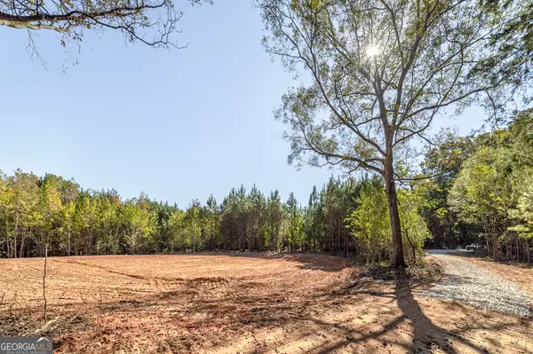 Locust Grove, GA 30248,667 Jenkinsburg RD