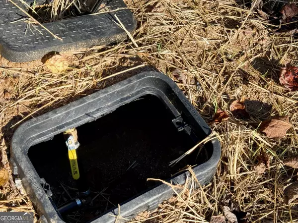 Dillard, GA 30537,0 Zoellner LN