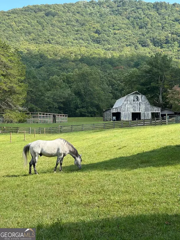 Warne, NC 28909,3147 Old Hwy 64W