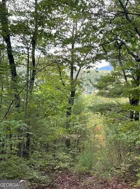 Clayton, GA 30525,LOT 5 Sequoia Hills LN #5