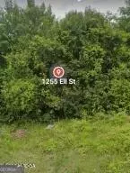 1255 Ell ST, Macon, GA 31206