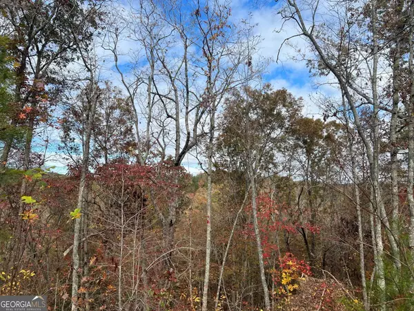 Ellijay, GA 30540,1077 Harris Creek DR