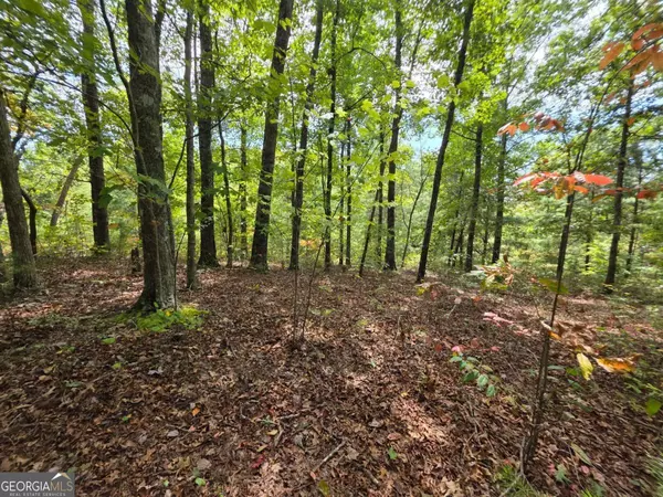 Ellijay, GA 30540,1077 Harris Creek DR