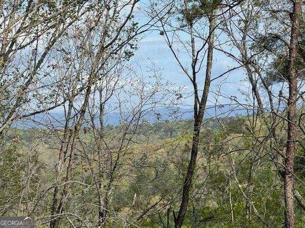 TRACT1 Panorama, Dahlonega, GA 30533