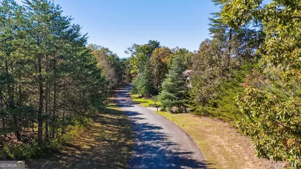 Dahlonega, GA 30533,1047 Nugget CT