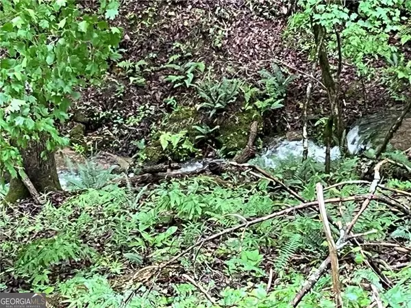 Talking Rock, GA 30175,1720 Rebekah Ridge RD