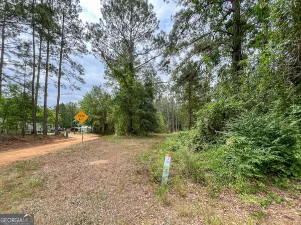 Claxton, GA 30417,0 Mosley RD