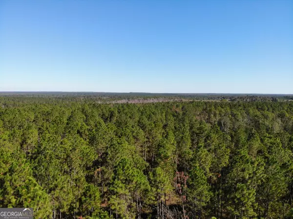1701 E Golden Isles HWY, Mcrae-helena, GA 31055