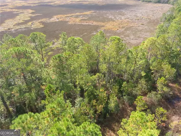 White Oak, GA 31568,0 Confederate Point DR