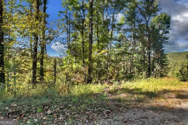Blue Ridge, GA 30513,1.9 AC Bell Camp Ridge RD