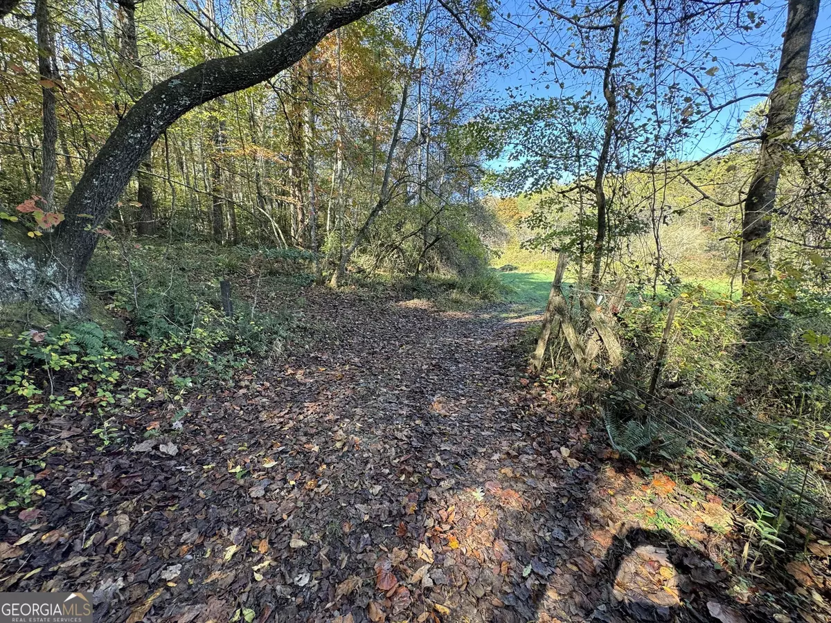 Blue Ridge, GA 30513,0 Saffron LN