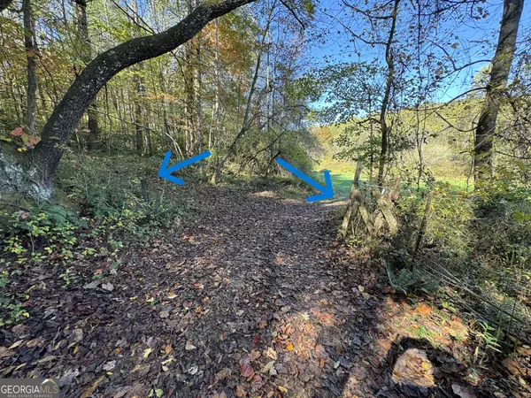 Blue Ridge, GA 30513,0 Saffron LN