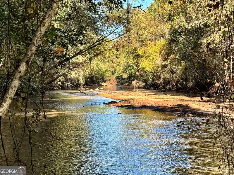 3355 SR 42 N, Forsyth, GA 31029