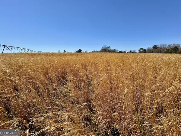 Dexter, GA 31019,0 Stripling RD