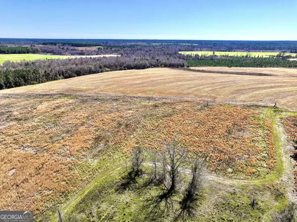 Dexter, GA 31019,0 Stripling RD