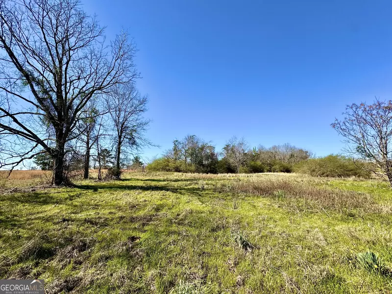 0 Stripling RD, Dexter, GA 31019