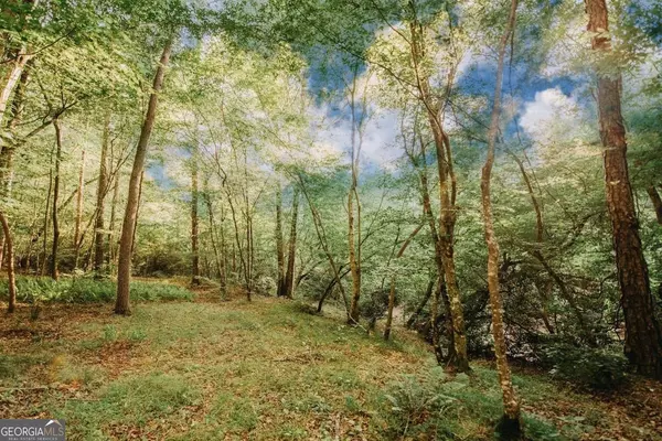 Demorest, GA 30535,329 Twisting Ridge TRL