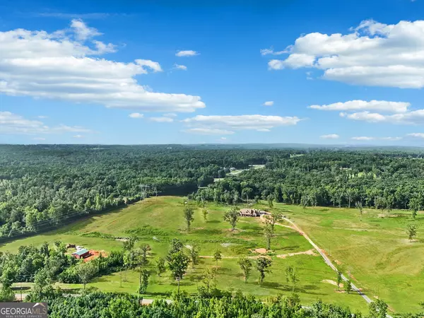 0 Old Driver Road RD, Whitesburg, GA 30185