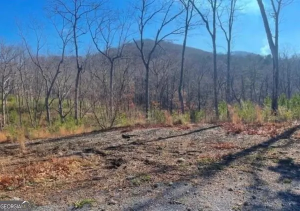 Cleveland, GA 30528,0 Yonah Mountain DR