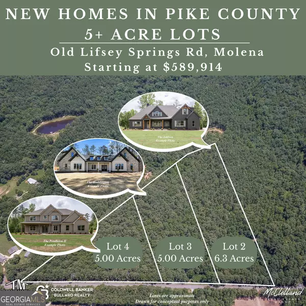Molena, GA 30258,3115 Old Lifsey Springs RD
