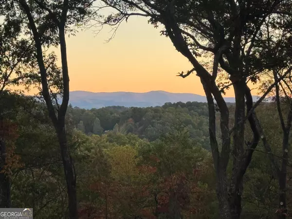 195 Wolf Creek Mountain RD, Mineral Bluff, GA 30559