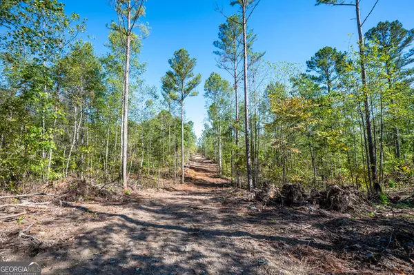 Rydal, GA 30171,3793 HWY 140 NE