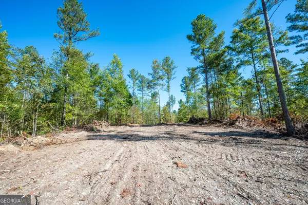 Rydal, GA 30171,3793 HWY 140 NE