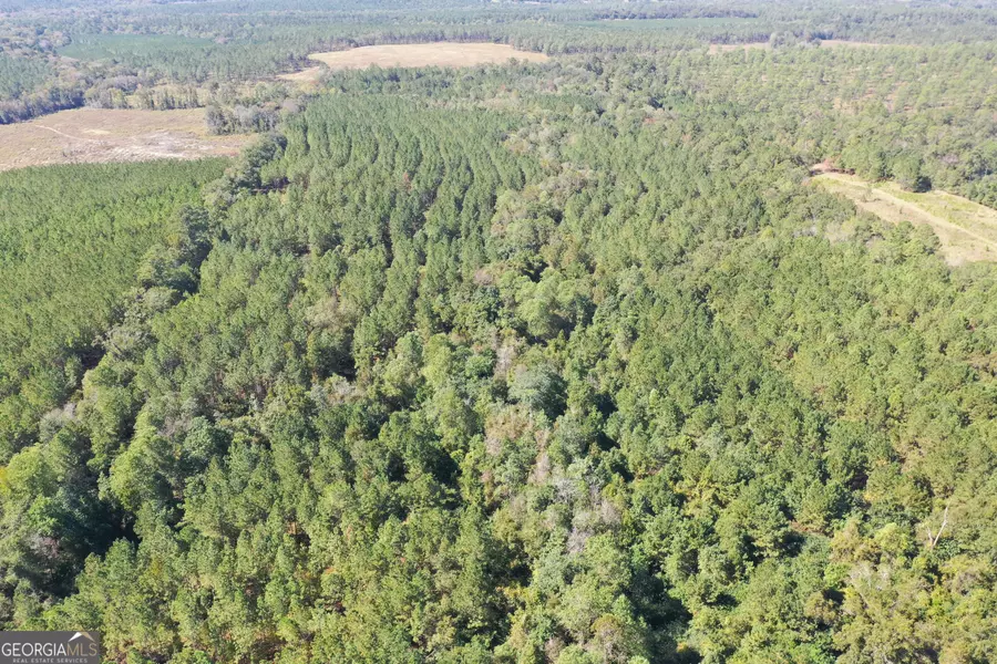 0 Upper Hawthorne Trail, Cairo, GA 39828