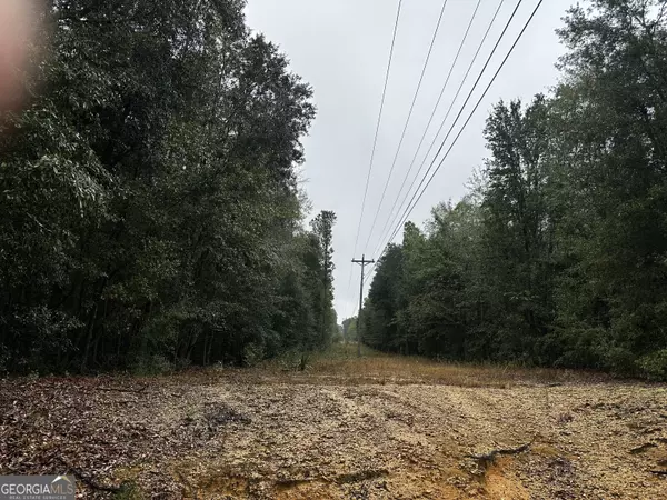 Eastman, GA 31023,0 SEVENTH AVENUE