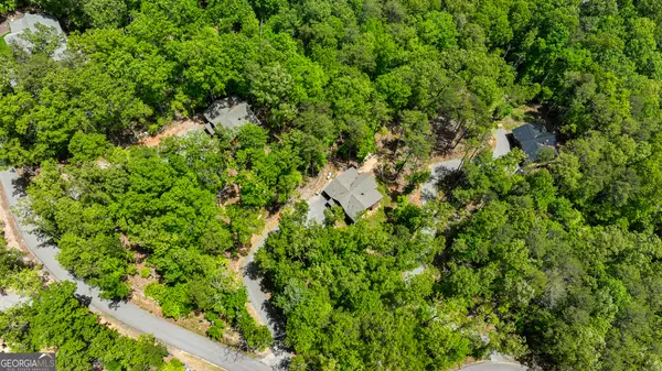 Cherry Log, GA 30522,79 Haley DR